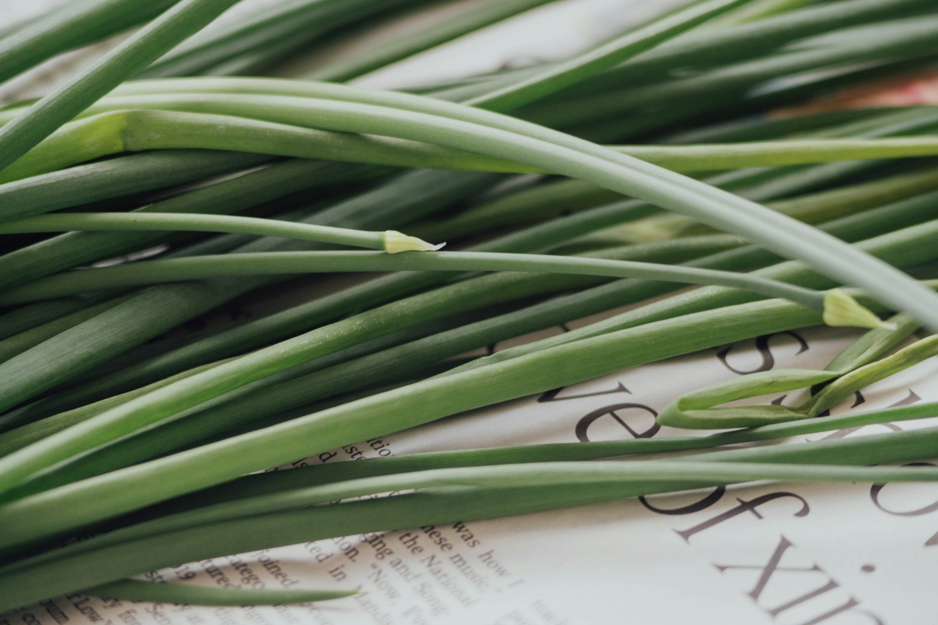 what does lemongrass smell like?