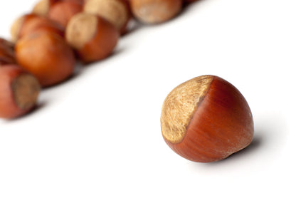 Hazelnuts