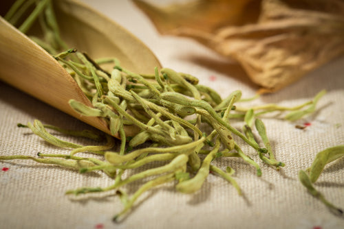 Honeysuckle leaves