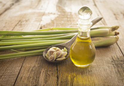 Lemongrass oil and plants