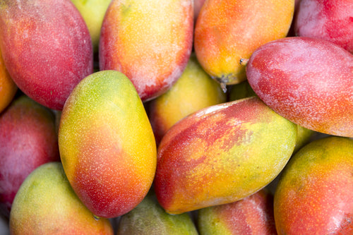 Pile of Mangoes 