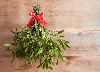 Mistletoe Scented Candle