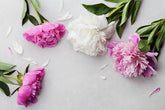 Peony flower arrangement