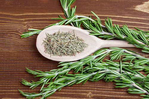 Rosemary Herb