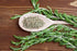 Rosemary Herb