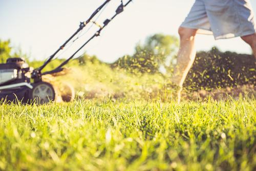 Grass and lawnmower