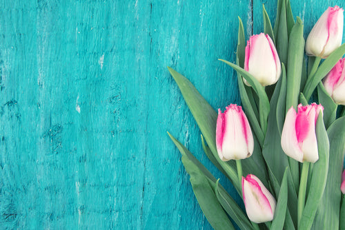 Bouquet of Pink Tulips 